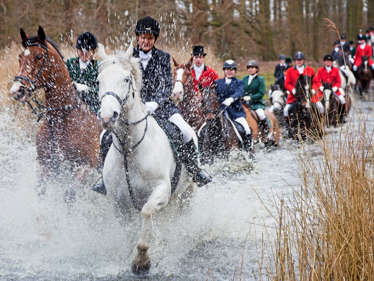 Hunt webinars: Smokescreen was to cope with ‘aggressive saboteurs’, says Masters of Foxhounds chief