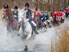 Hunt webinars: Smokescreen was to cope with ‘aggressive saboteurs’, says Masters of Foxhounds chief