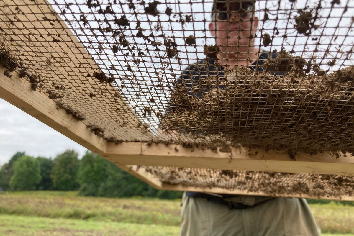 Veterans at Revolutionary battlefield dig find camaraderie | The ...