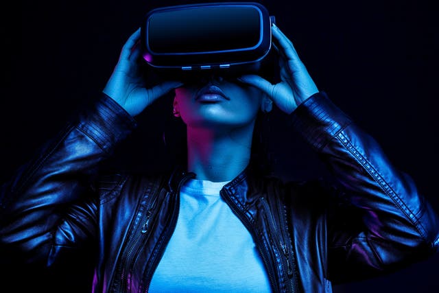 <p>Metaverse evangelists believe most of us will soon be spending much of our time connected to persistent virtual worlds</p>