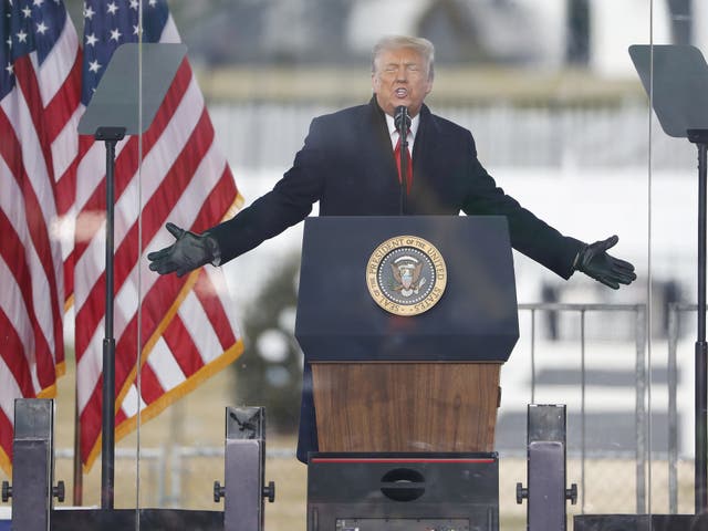 <p>Former US president Donald Trump during his anti-election rally on 6 January</p>
