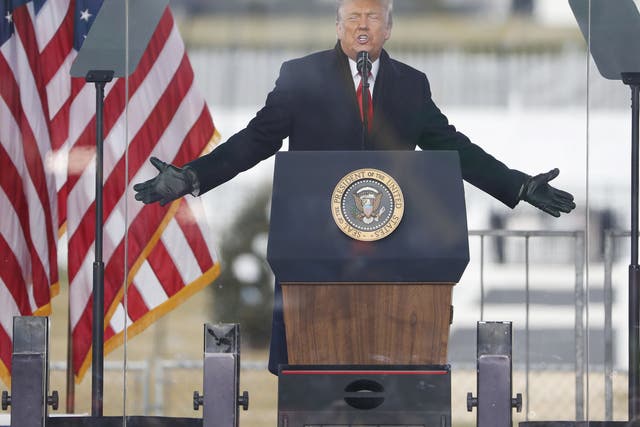 <p>Former US president Donald Trump during his anti-election rally on 6 January</p>