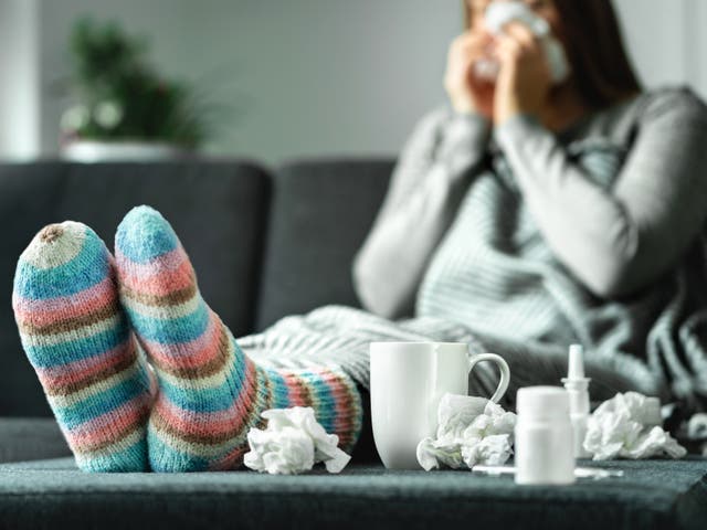 <p>Dangerous bacteria and other irritants found in home appliances and fireplaces can be harmful to our health </p>