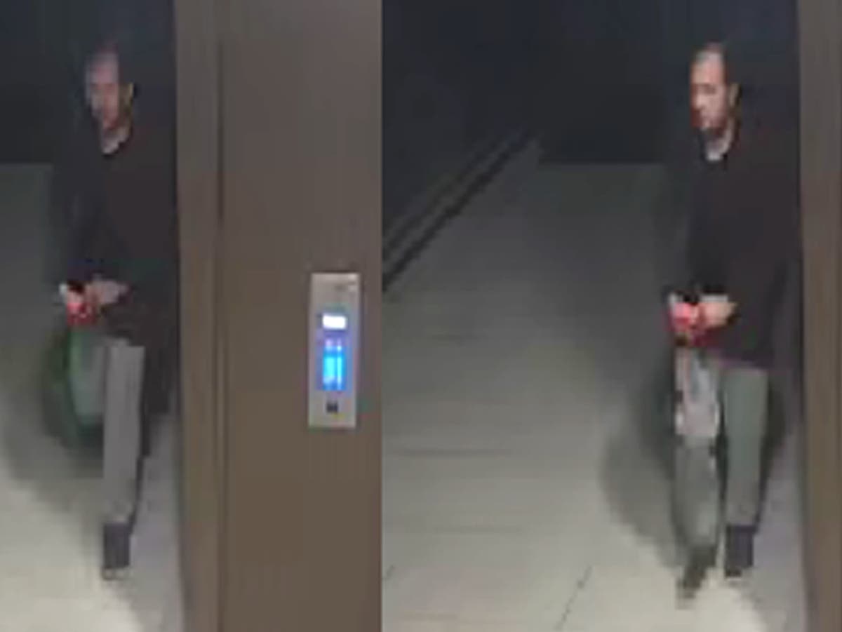 Sabina Nessa: Man, 38, arrested on suspicion of murder Sabina Nessa: Man, 38, arrested on suspicion of murder