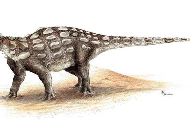 <p>Illustration showing Gobisaurus, an ankylosaur with a stiff tail</p>