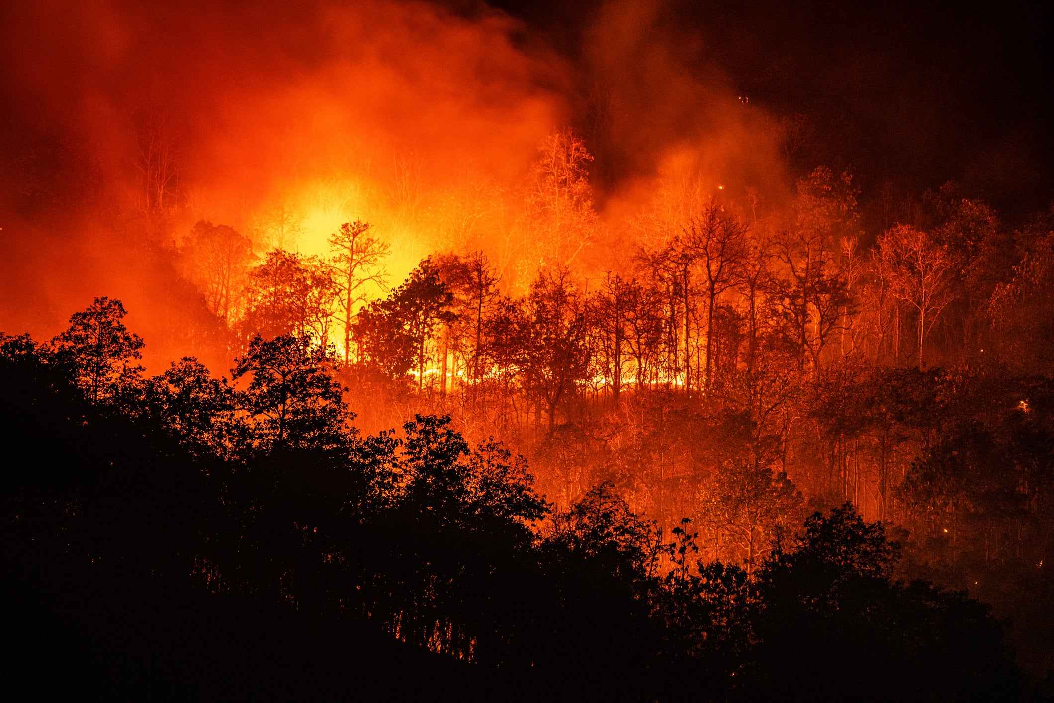 Wildfires rage in Chiang Mai, Thailand