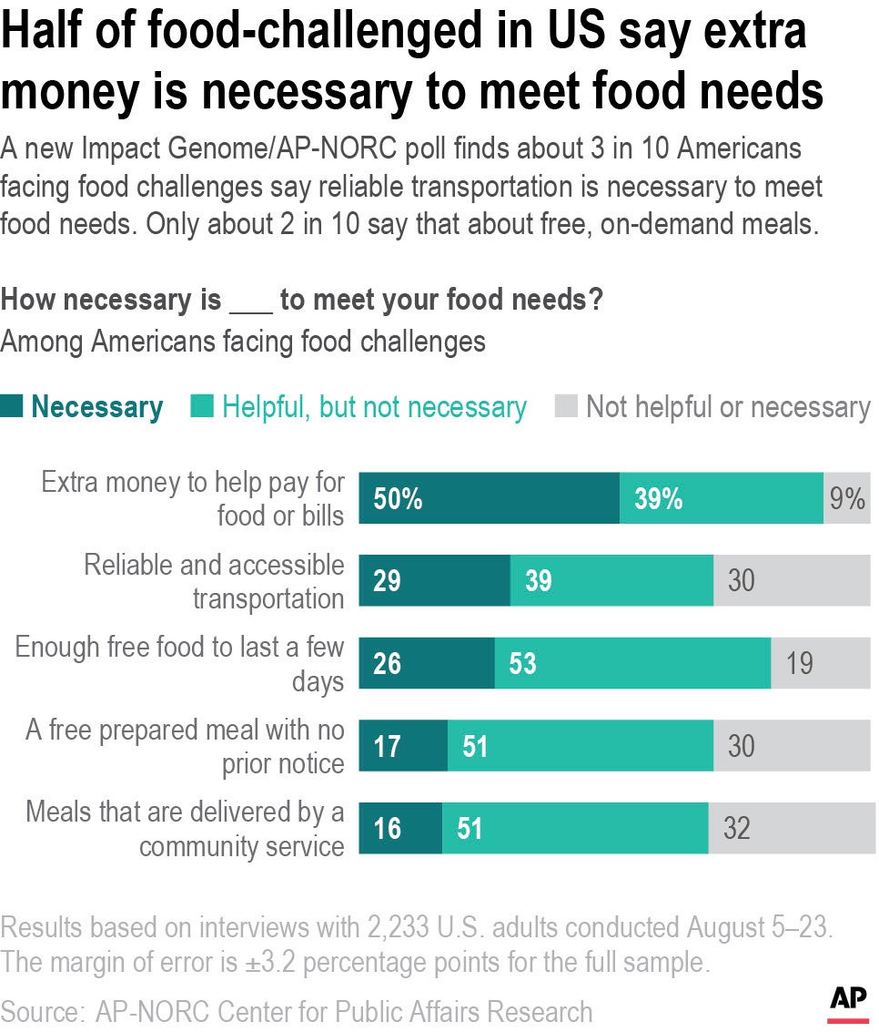 AP Poll-Hunger in America-Meet Needs