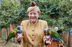 What a cracker! Merkel pecked by parrot 