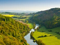 Thousands of acres of new woodlands to be created along England’s rivers as part of tree planting drive