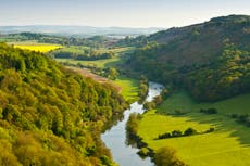 Thousands of acres of new woodlands to be created along England’s rivers as part of tree planting drive