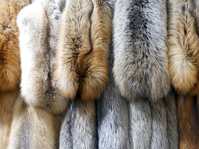 <p>A selection of furs</p>