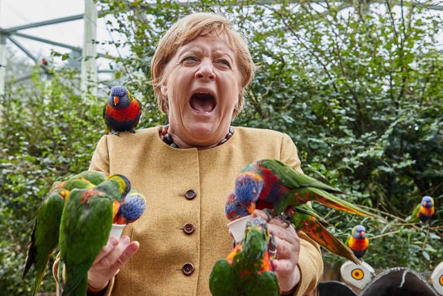 La canciller alemana, Angela Merkel, alimenta a los loritos australianos en Marlow Bird Park en Marlow, Alemania