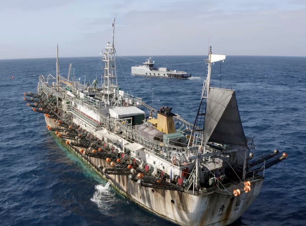 REP-GEN PESCA CHINA