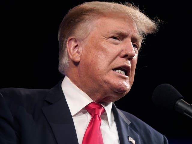 <p>Former US president Donald Trump</p>