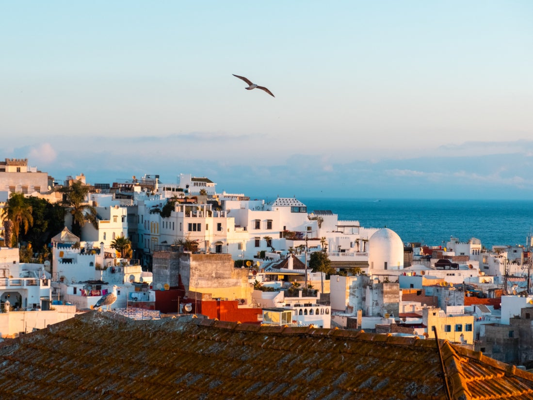 Flying free as a bird in Tangier