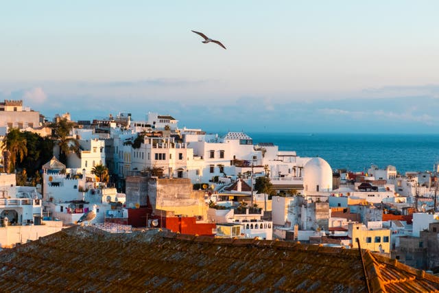 <p>Flying free as a bird in Tangier</p>