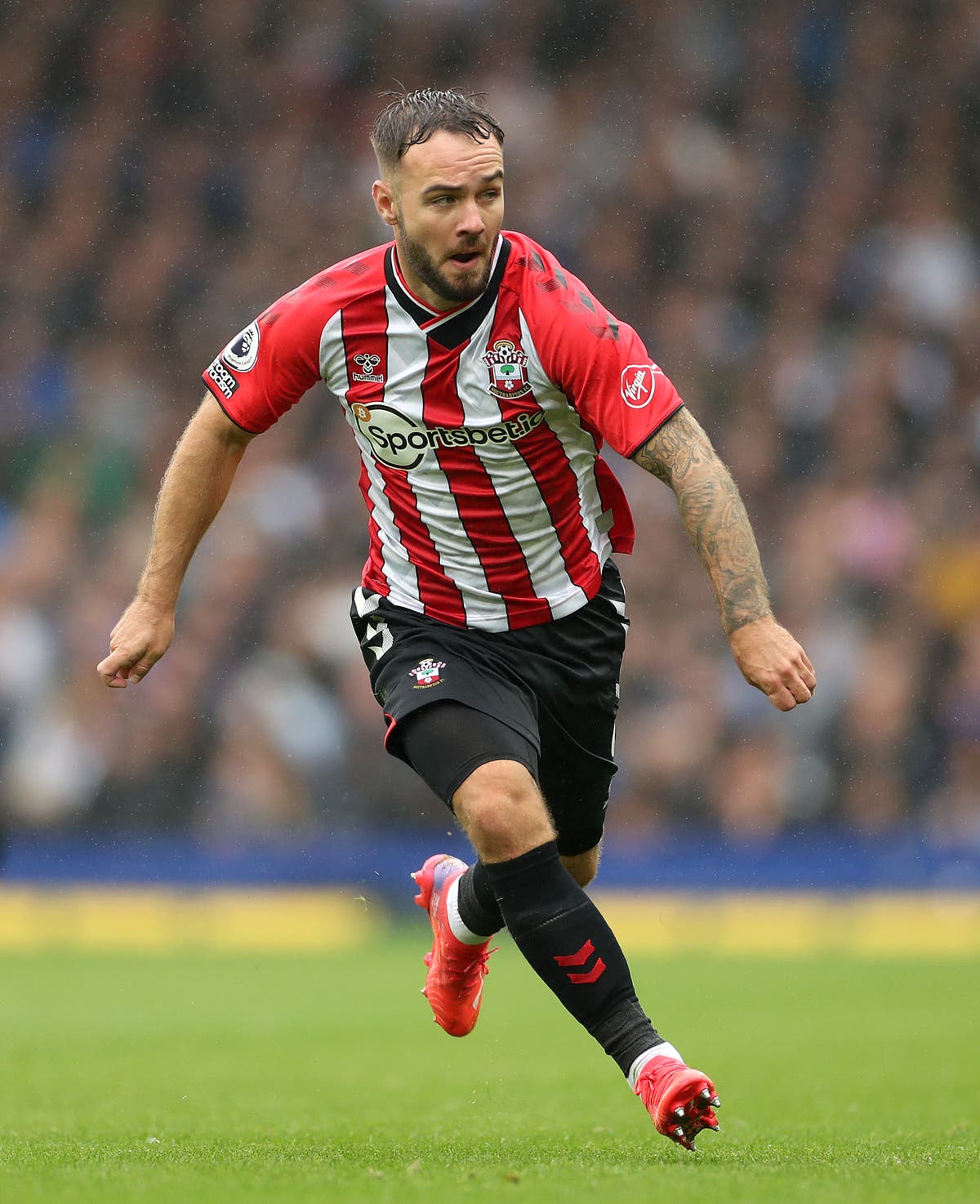 Saints boss Ralph Hasenhuttl believes things will go Adam Armstrong’s way soon