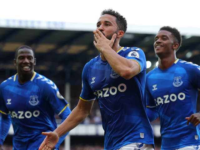 <p>Andros Townsend celebrates scoring Everton’s opener against Norwich</p>