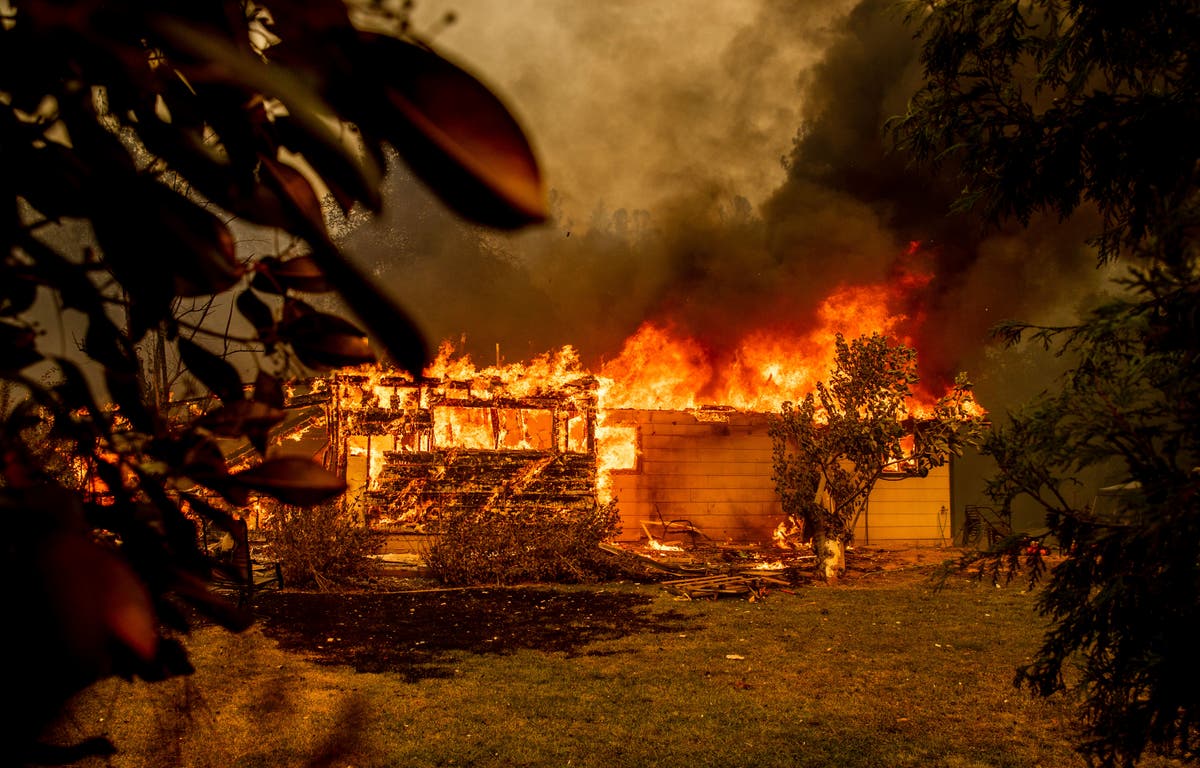 Лесной пожар в калифорнии. Пожары в Калифорнии. Лесные пожары в США. Америка в огне. Древние пожары в Америке.