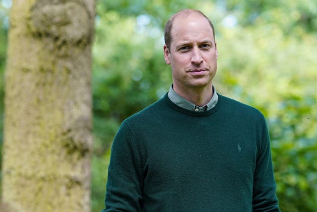 <p>Prince William presents new BBC documentary about saving the environment</p>