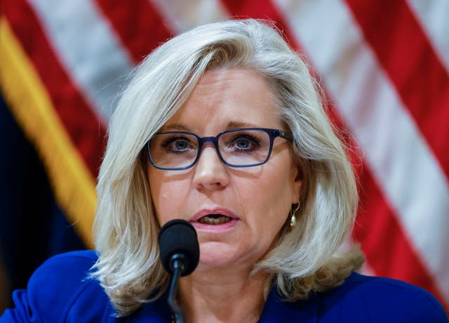 <p>Congresswoman Liz Cheney had earlier said she supported ‘traditional’ marriage </p>