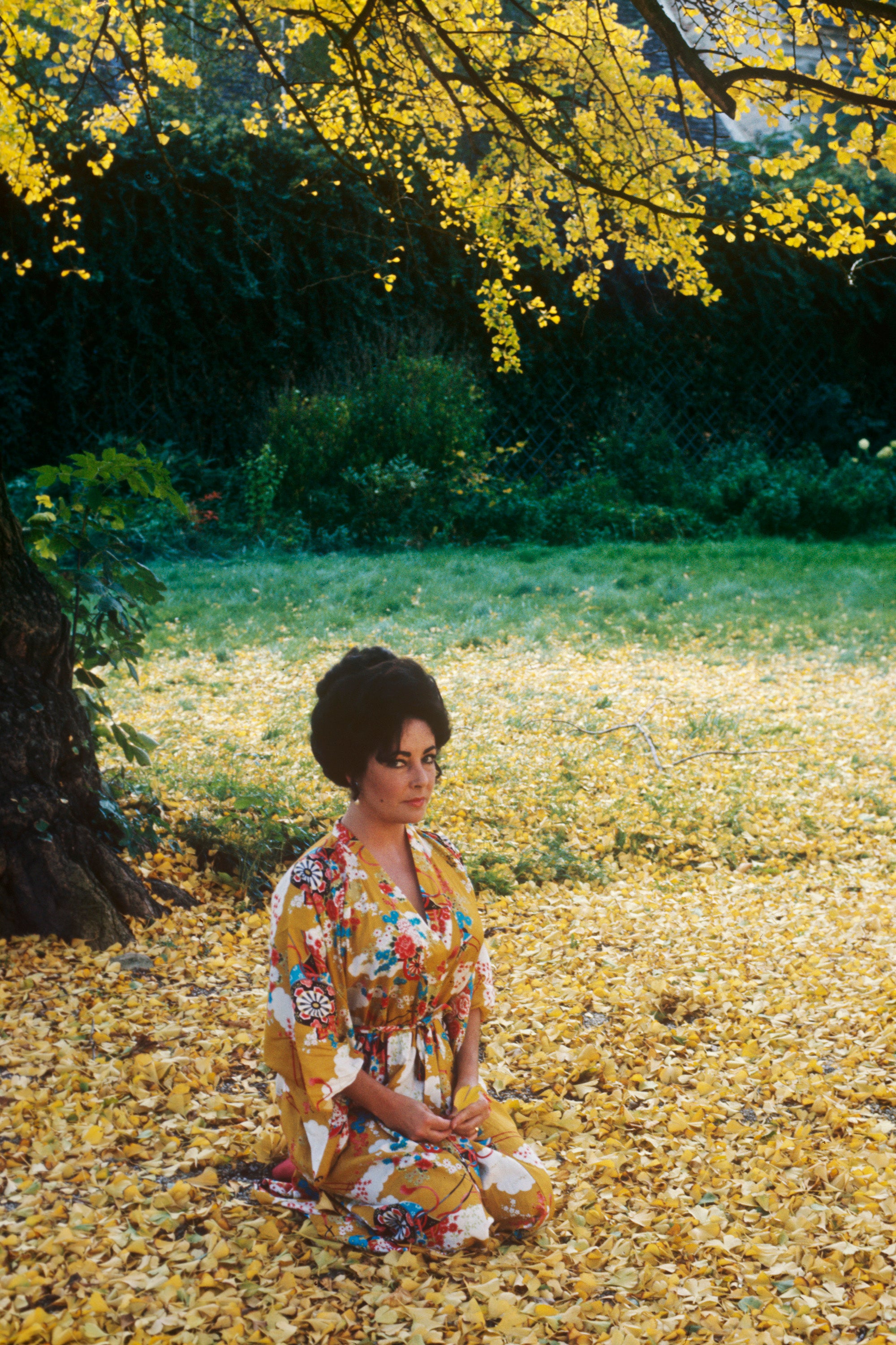 Elizabeth Taylor, on the set of 'A Little Night Music' in Austria, 1977