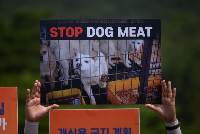<p>Protests against dog meat have been increasing in the country </p>