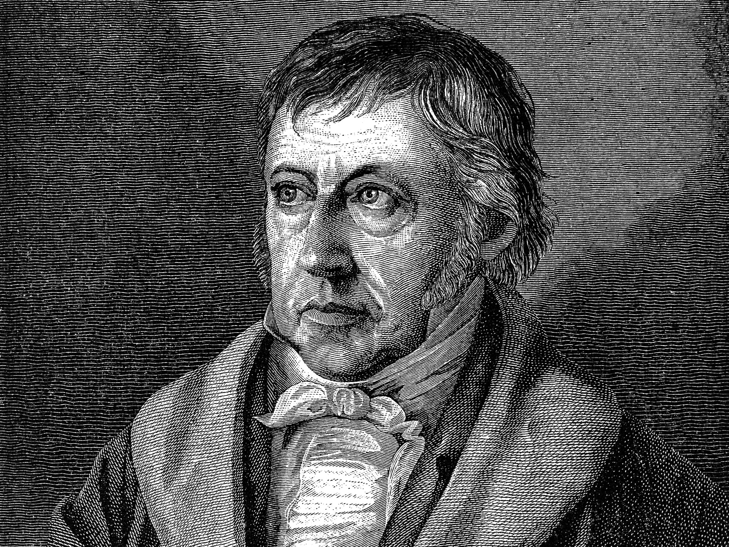 Hegel is arguably the last great system builder in philosophy