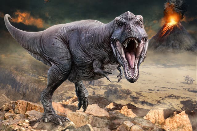 <p>T rex, 150 million years before its time </p>