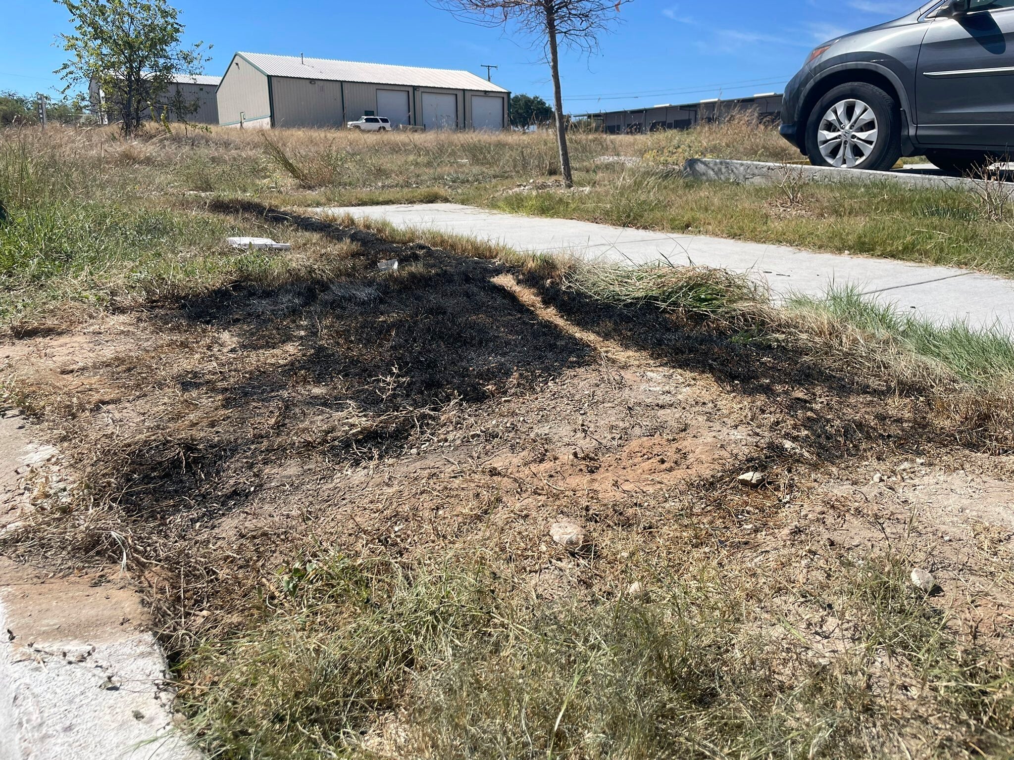 Texas Dumpster Fire Bodies