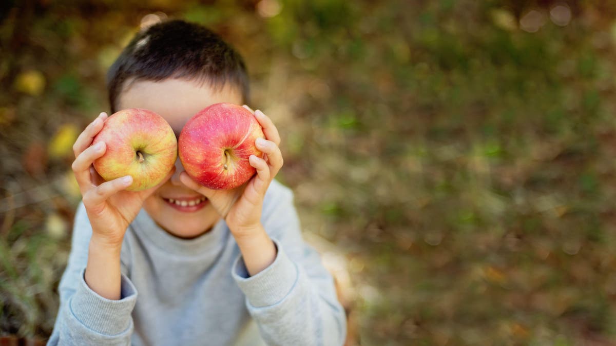 5 fun activities to get your kids outdoors and loving gardening this autumn