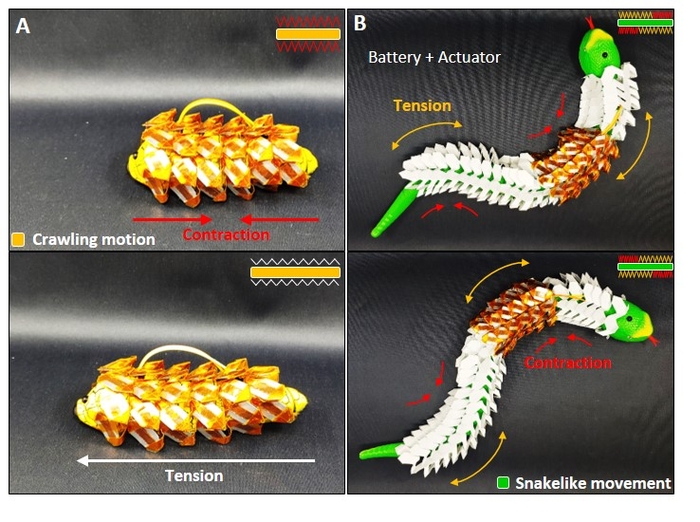 Flexible, stretchable battery technology developed by KIMM engineers applied to a soft robot with moveable joints like a snake to observe its flexibility when moving