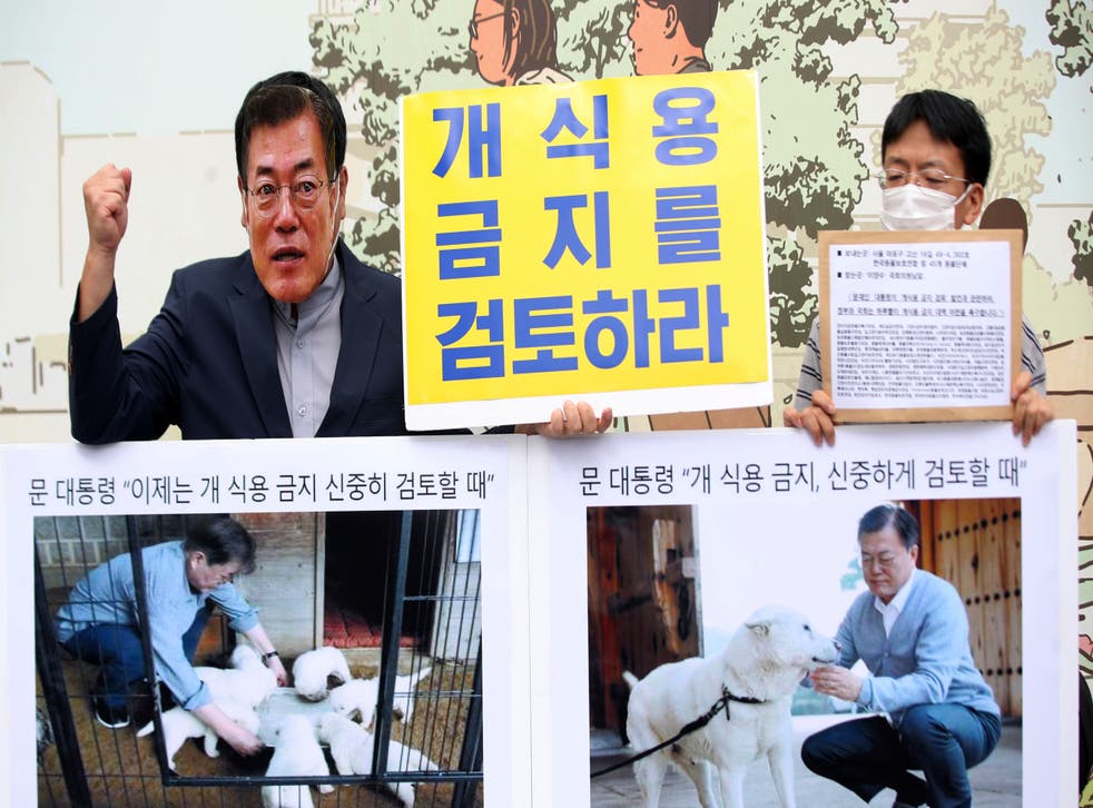 ASI-GEN COREA DEL SUR-CARNE DE PERRO