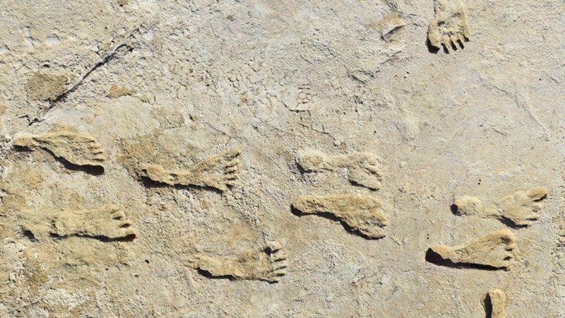 There are tens of thousands of fossil footprints at White Sands, New Mexico
