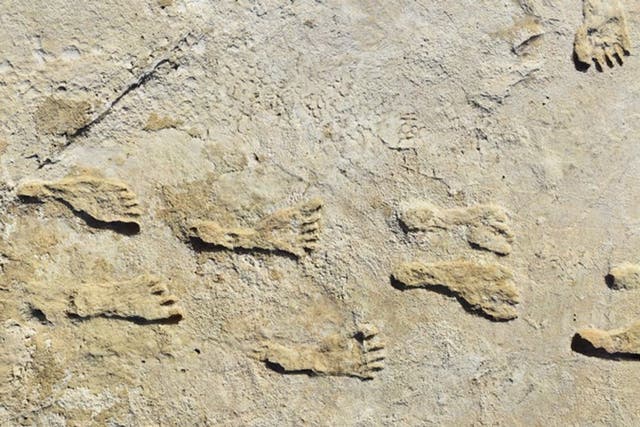 <p>There are tens of thousands of fossil footprints at White Sands, New Mexico </p>