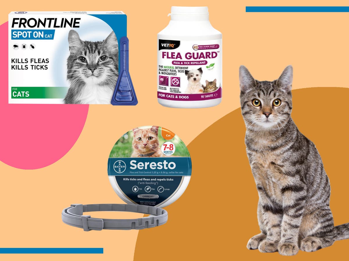 Best flea treatment for cats 2021: Vet-approved collars, spot-on and oral solutions