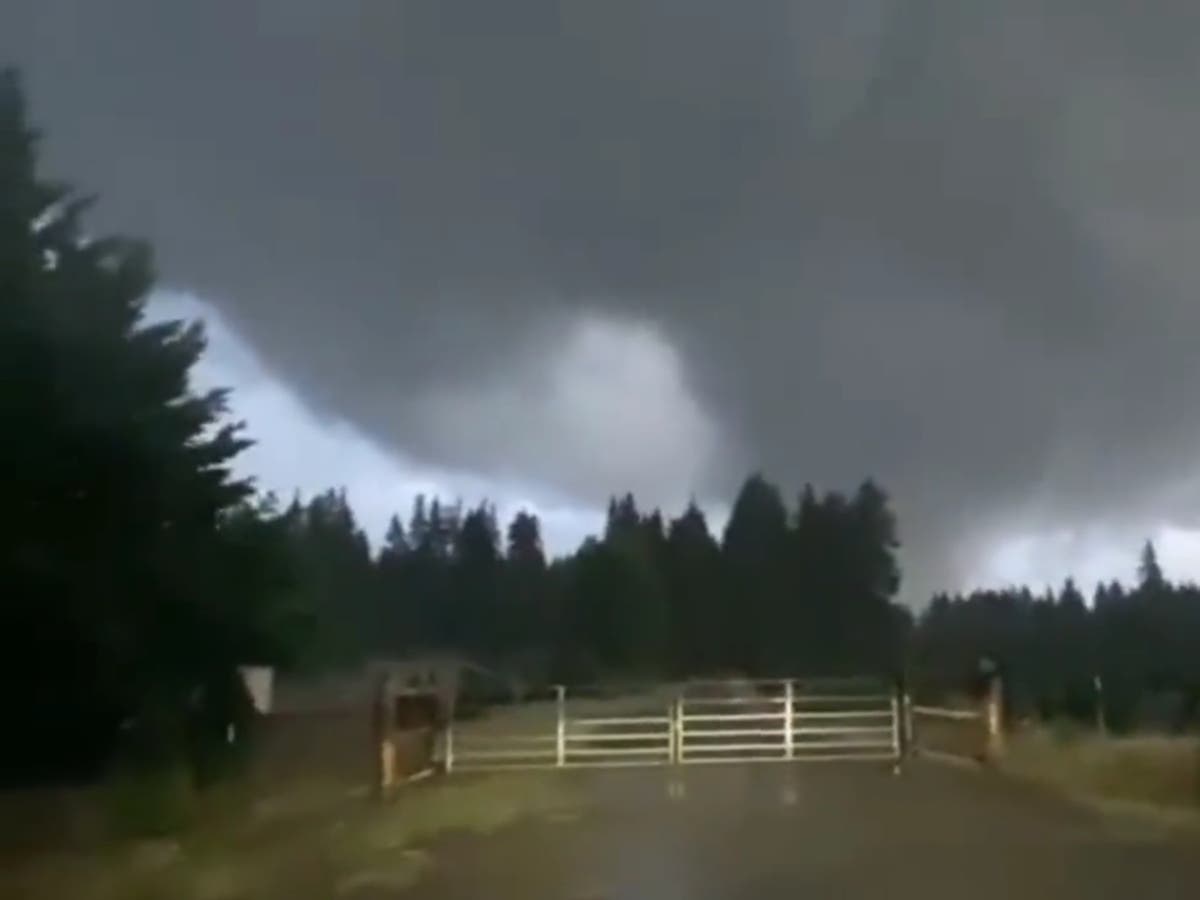Washington gets mini tornado on anniversary of Seattle’s big one