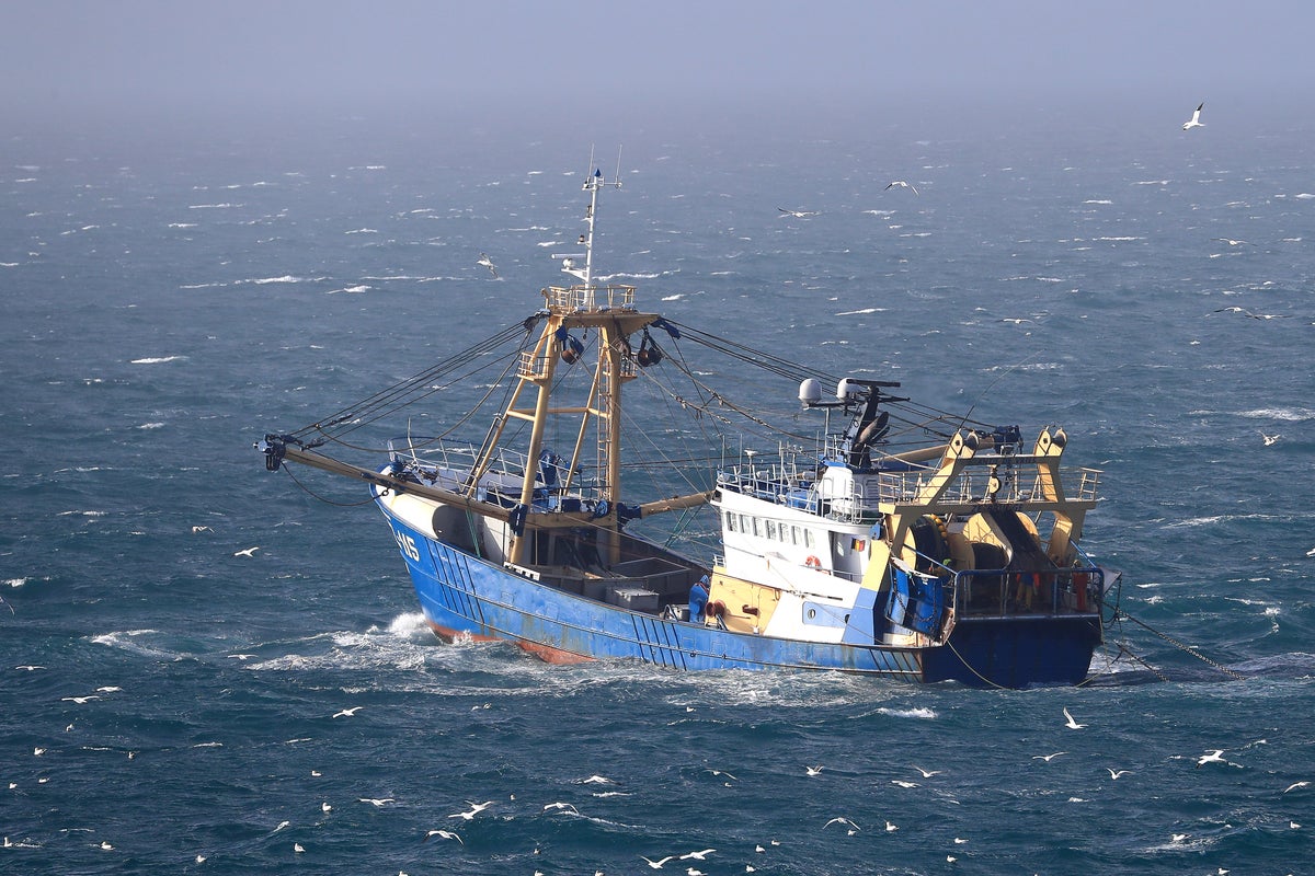 Split decision in EU-UK fishing rights dispute as post-Brexit debate rumbles on