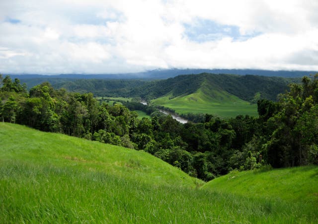 OCE-GEN AUSTRALIA-BOSQUE DAINTREE