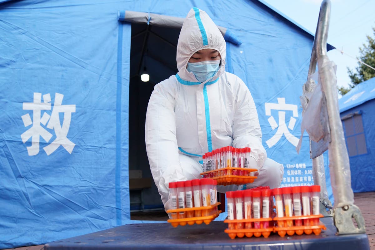 China kills 3 housecats that tested positive for COVID-19