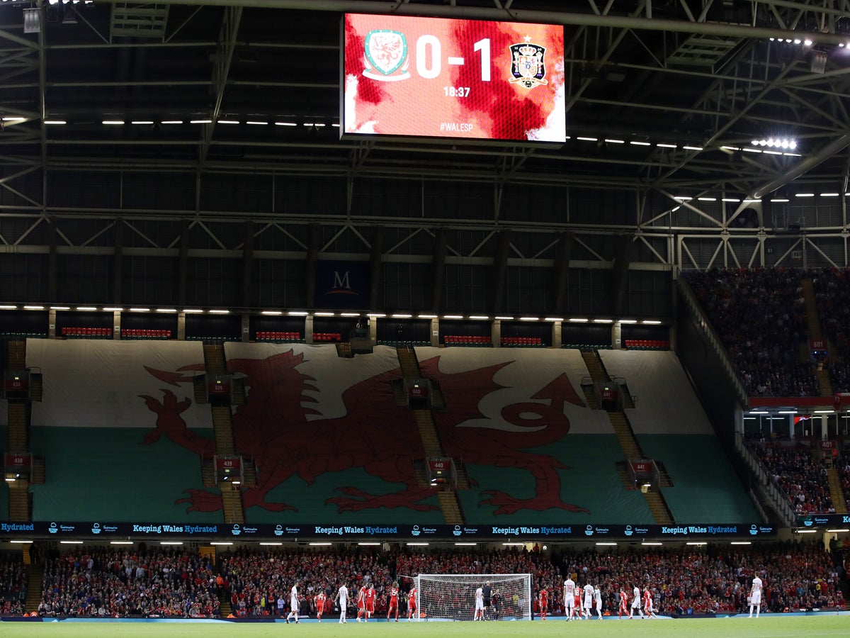 Cardiff City fans have their say on how to improve the atmosphere and  attendances at home matches - Wales Online