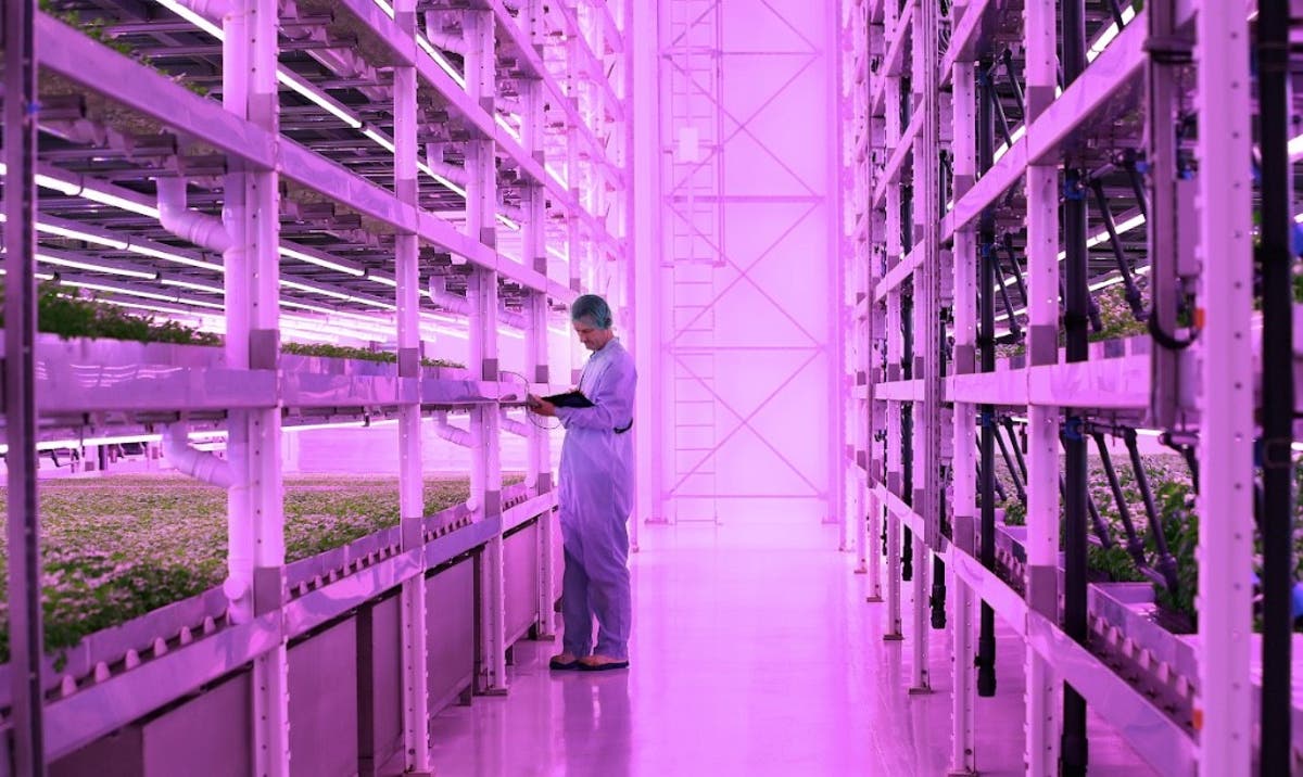 World’s largest vertical farm to be built near Bristol