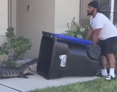 Florida man ‘wins the internet’ after trapping alligator in trash bin