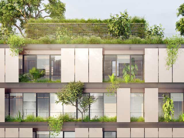 <p>Flat green roofs with a thick layer of soil cool buildings in summer by as much as 12C</p>