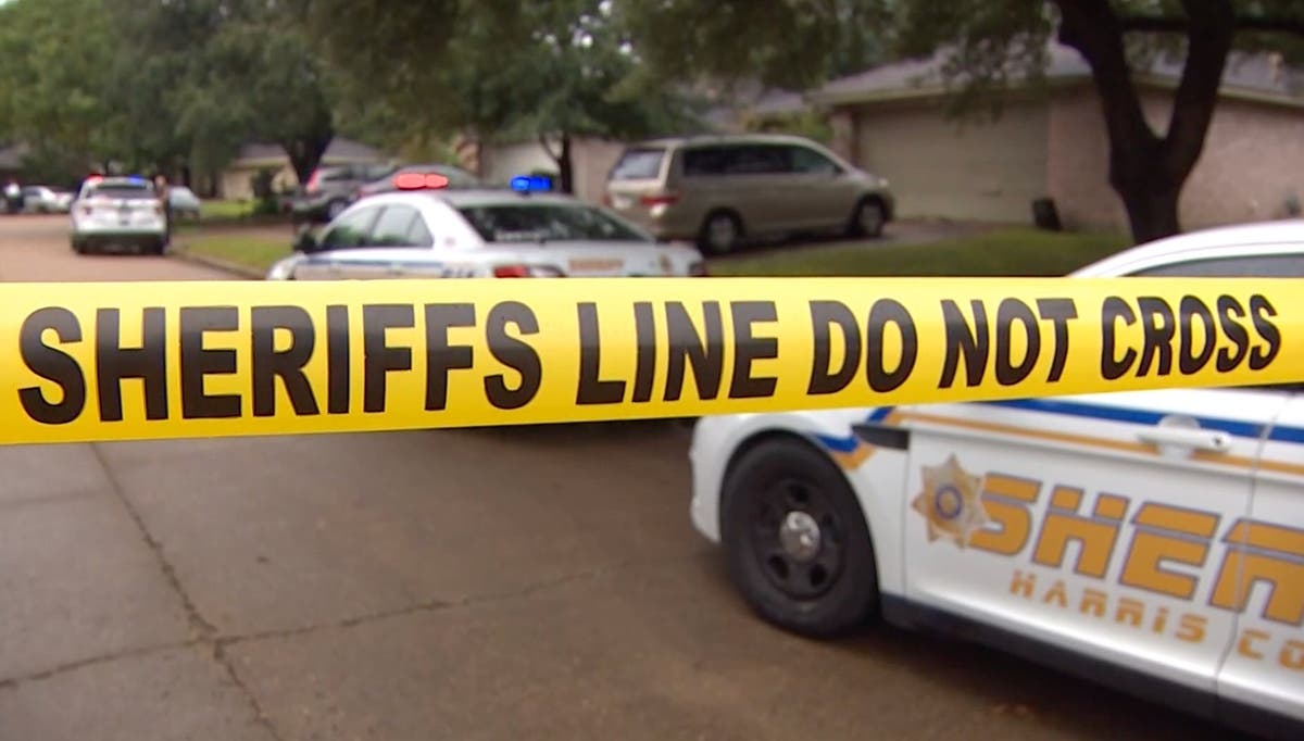 Boy, 17, arrested for allegedly stabbing his twin sister to death