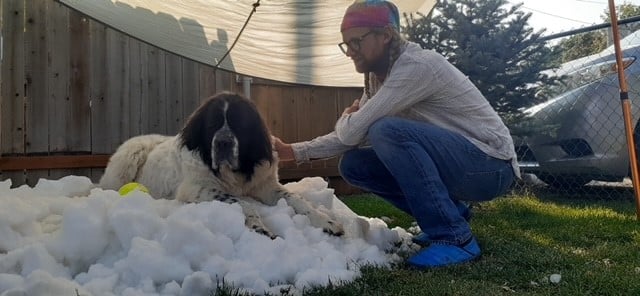 A terminally ill dog got to relive her old days on her death bed