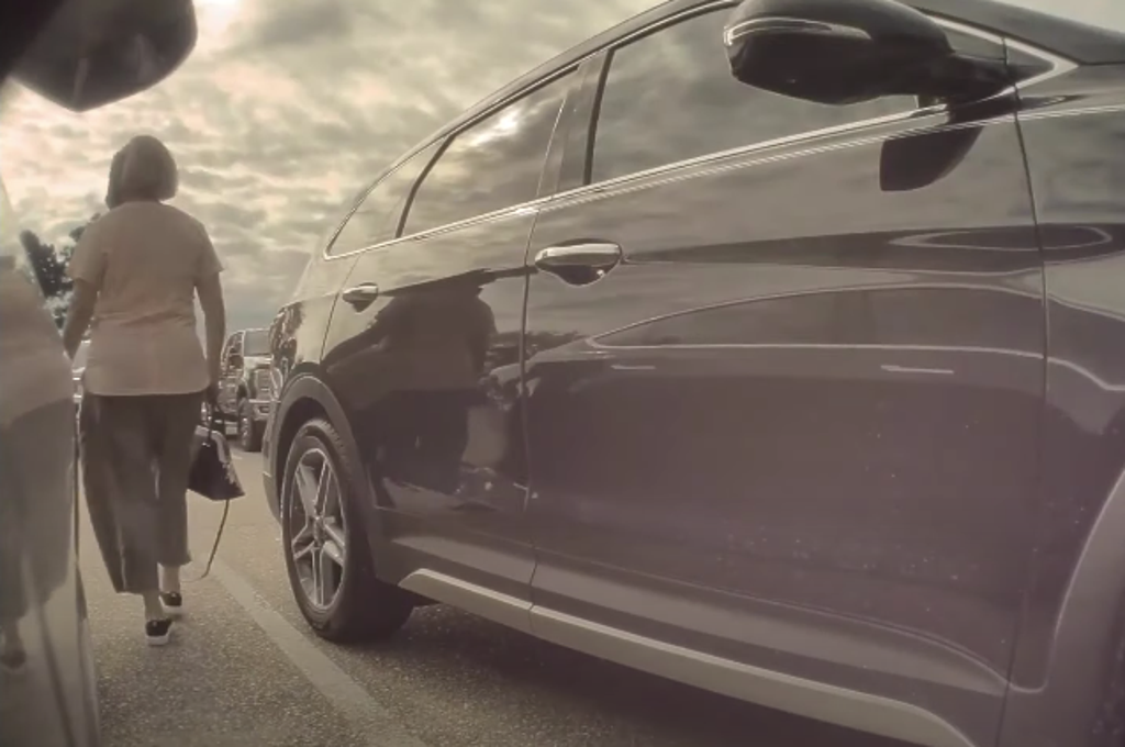 Tesla cameras capture elderly lady scratching car in row over parking spot