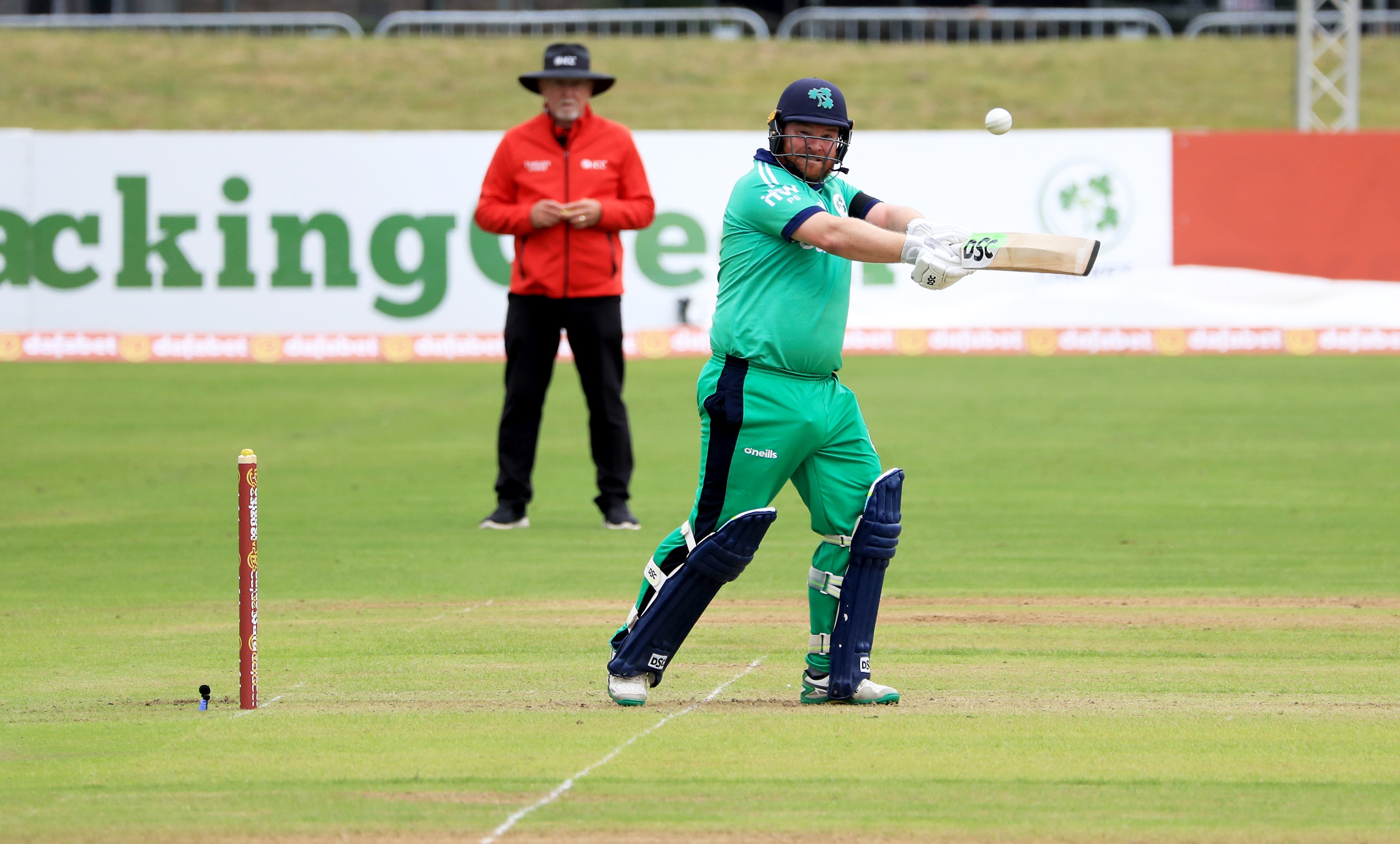 Paul Stirling is ready to help Ireland make their mark on the world stage again (Donall Farmer/PA)