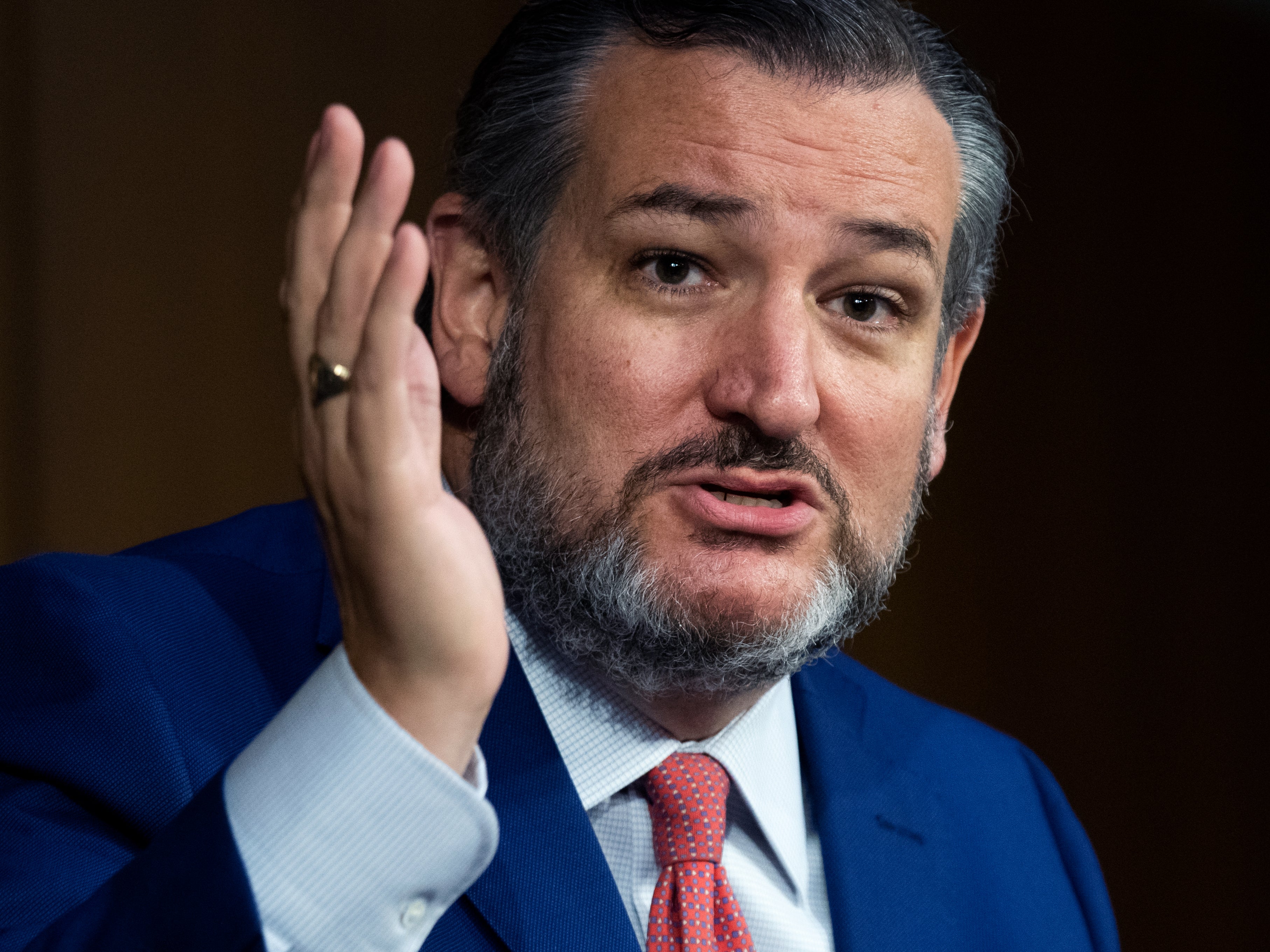 Senator Ted Cruz (R-TX)