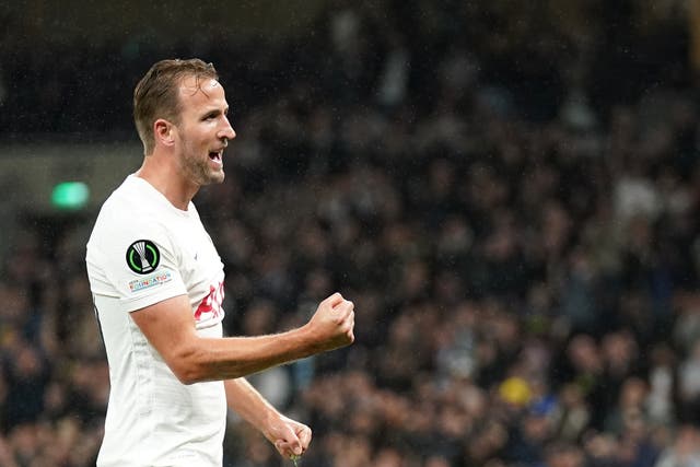 <p>Tottenham’s Harry Kane celebrates scoring (Nick Potts/PA)</p>